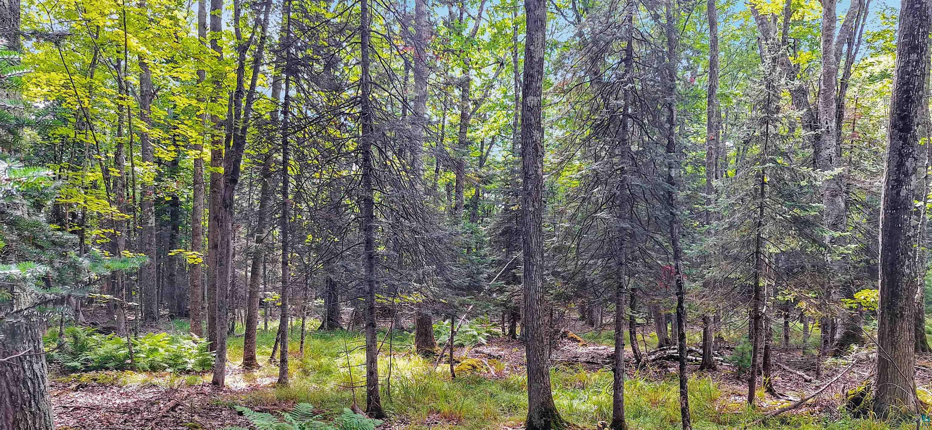 657 Spruce Lane La Pointe, WI 54850 - Photo 2 of 9