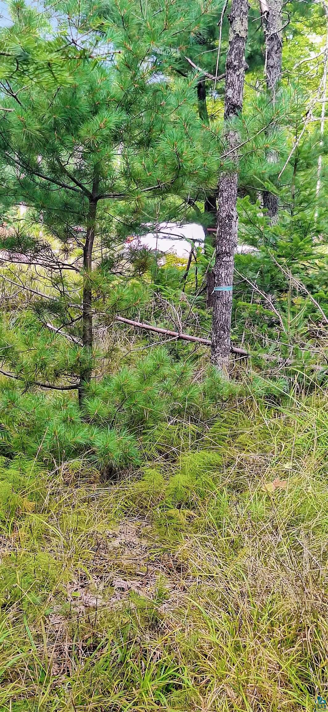 657 Spruce Lane La Pointe, WI 54850 - Photo 4 of 9