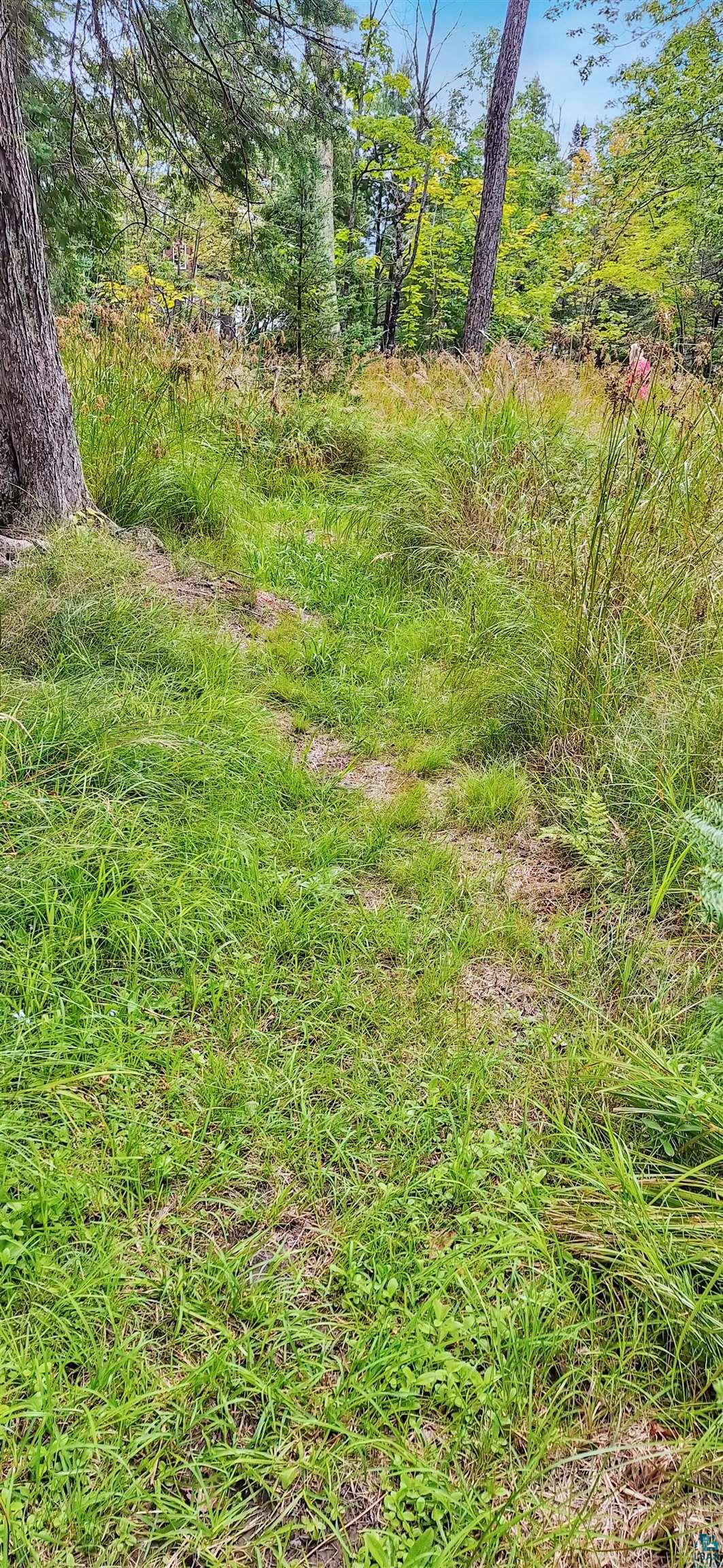 657 Spruce Lane La Pointe, WI 54850 - Photo 9 of 9 Path to the lake