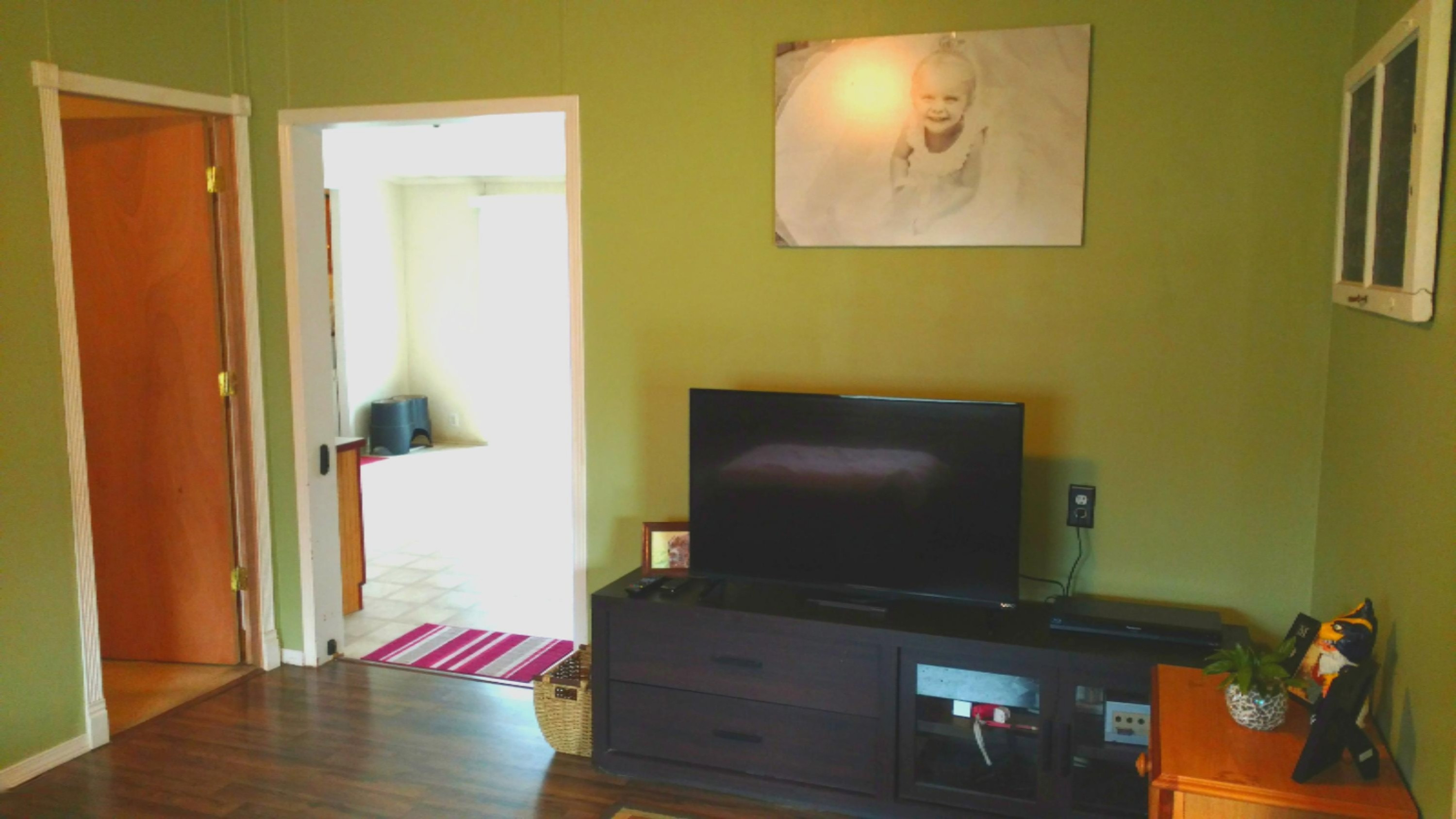 1133 Orchard Drive Three Rivers, MI 49093 - Photo 12 of 20 Family Room