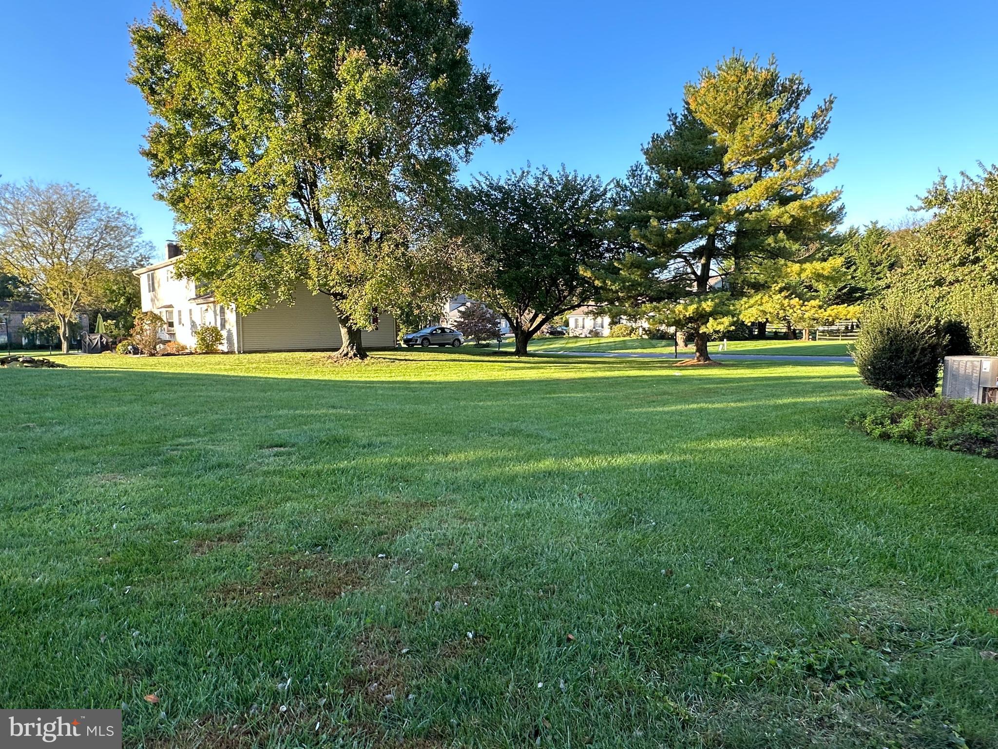 703 Lora Lane Hockessin, DE 19707 - Photo 26 of 28 a view of a big yard with palm trees