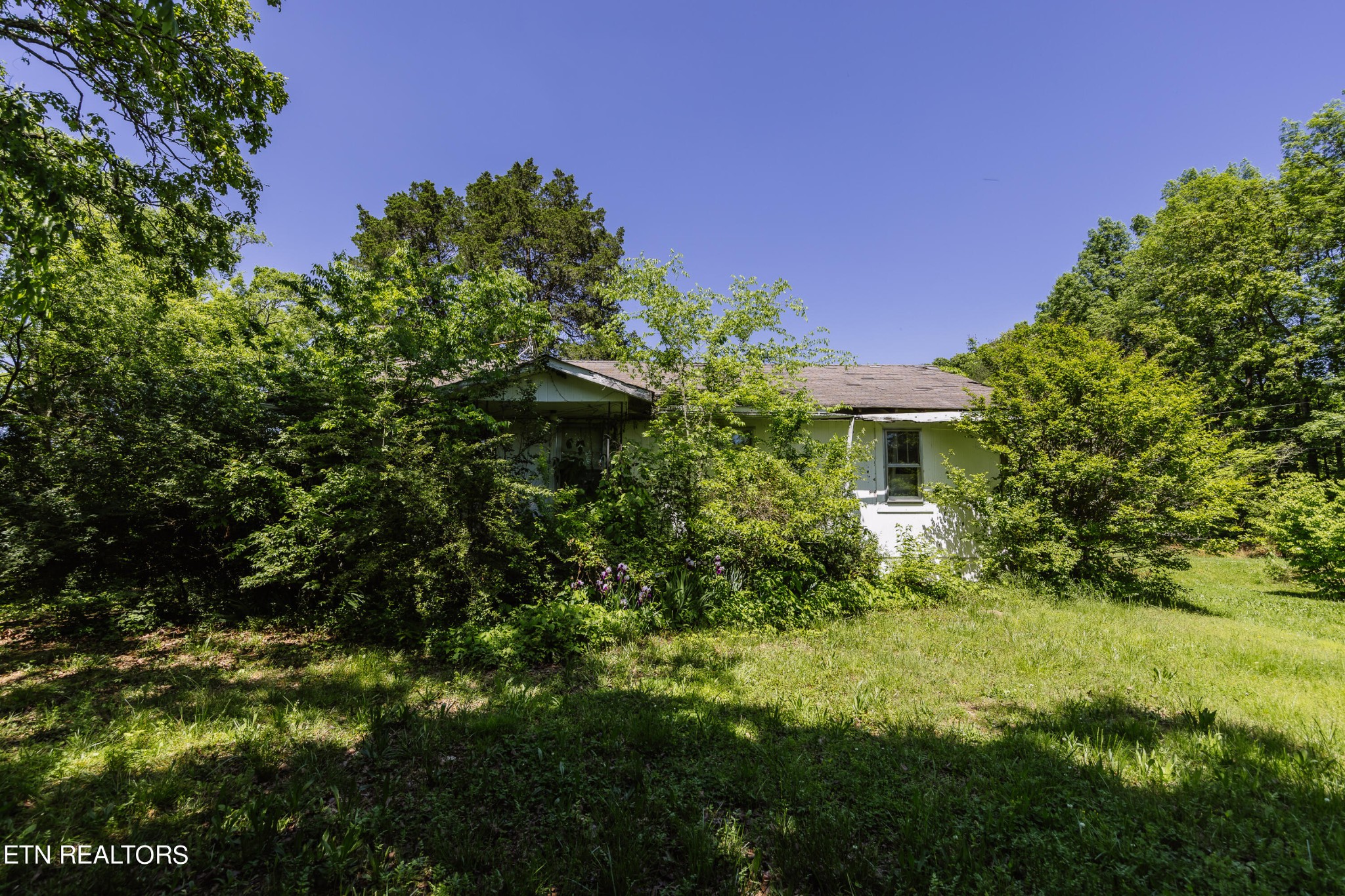 5937 Morganton Road Greenback, TN 37742 - Photo 26 of 47 Gallery Image 26