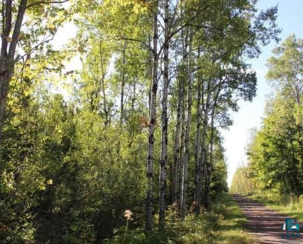Xxxx Smith Creek Road Maple, WI 54854 - Photo 3 of 9