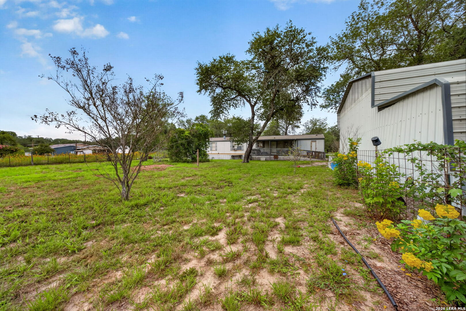 23398 Mathis Road Elmendorf, TX 78112 - Photo 15 of 18 a view of a backyard with large trees