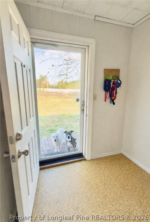 5271 Tobacco Road Orrum, NC 28369 - Photo 28 of 49 a view of front door
