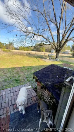 a view of a yard with plants and trees