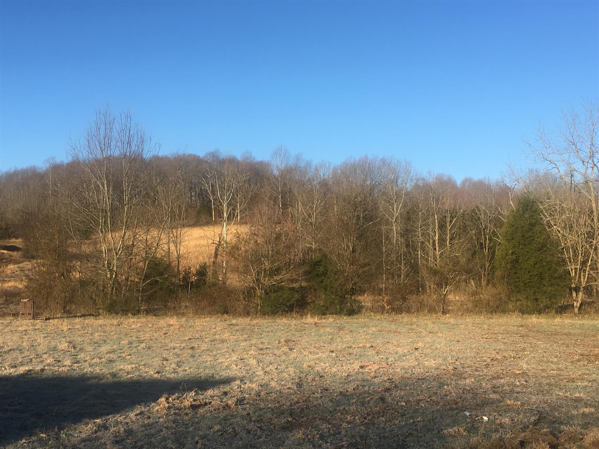 1909 Rock Bridge Road Bethpage, TN 37022 - Photo 3 of 4 a view of a yard with a mountain