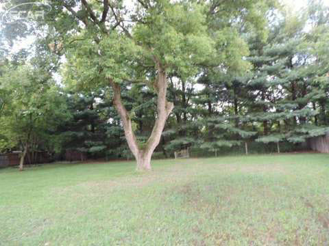 10091 Clark Road Davison, MI 48423 - Photo 13 of 14 20445587-12.JPG