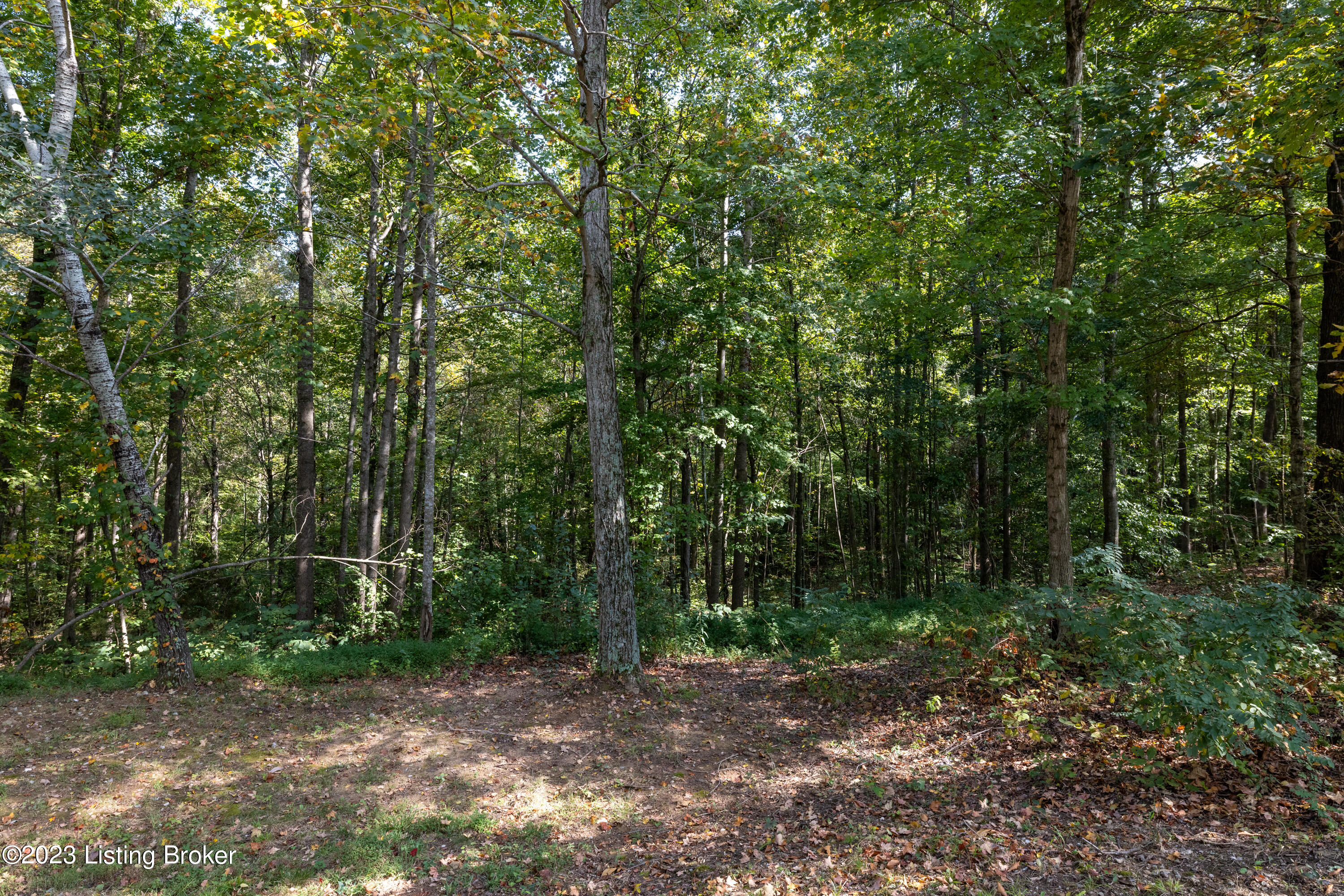 896 Wilderness Road Mammoth Cave, KY 42259 - Photo 20 of 74 RBWP8349