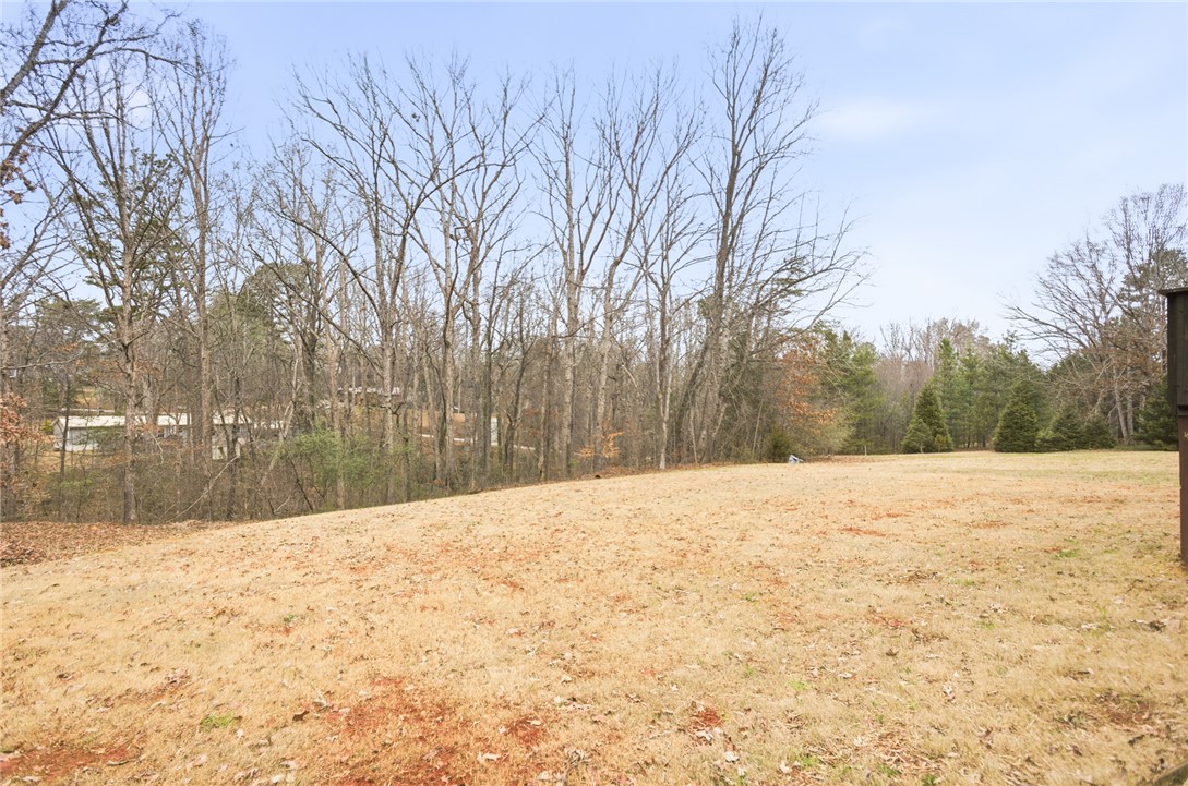 207 Dodgins Lane Seneca, SC 29672 - Photo 49 of 49