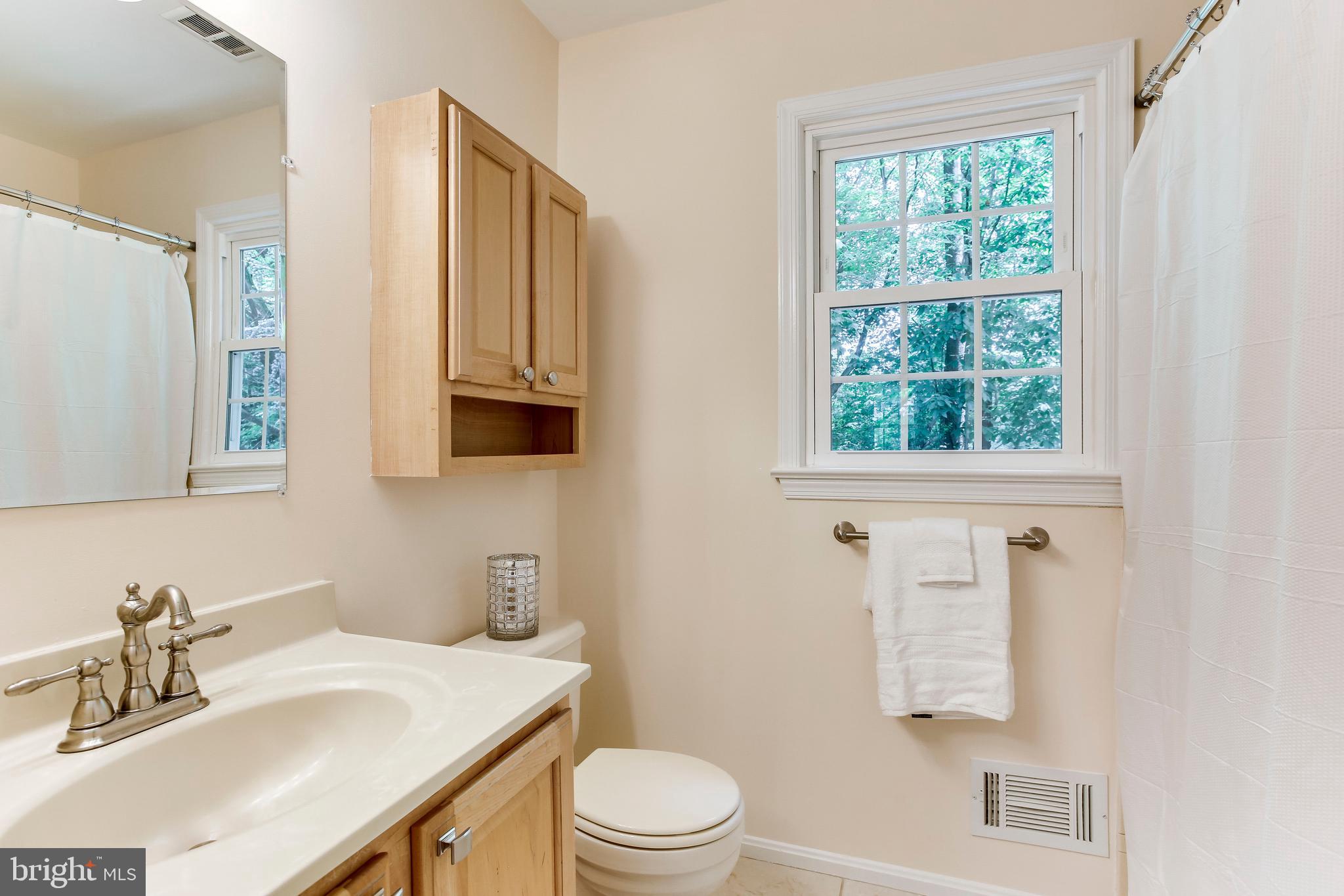 2093 Cobblestone Lane Reston, VA 20191 - Photo 28 of 43 Second upper level Bath & shower