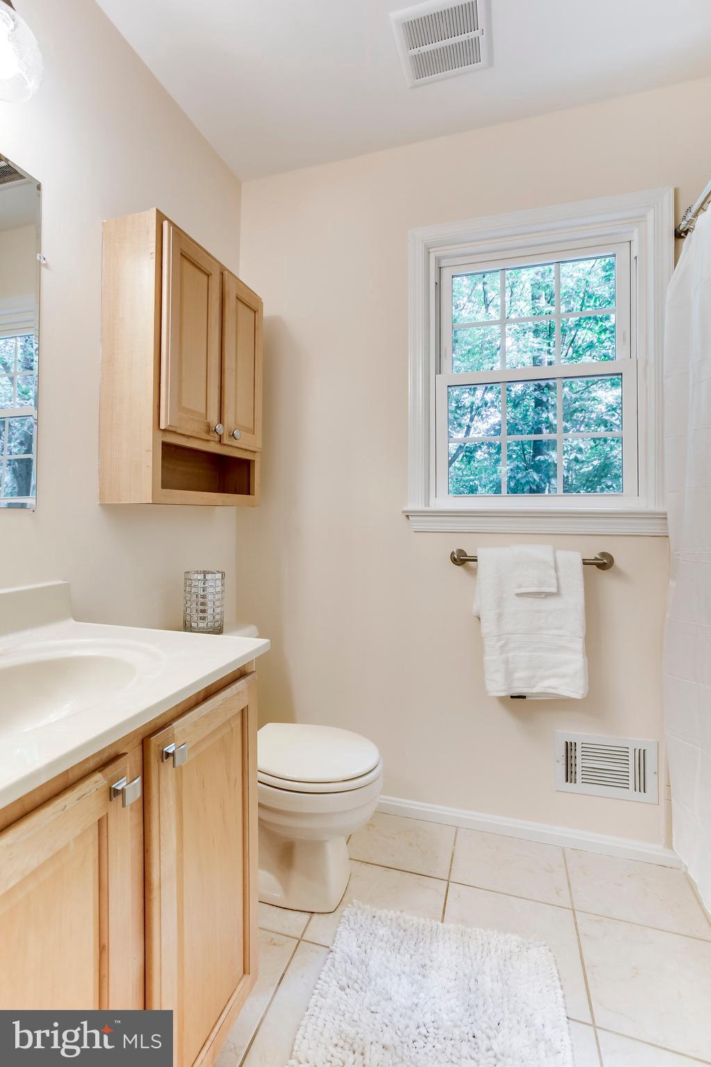 2093 Cobblestone Lane Reston, VA 20191 - Photo 29 of 43 Upper level hallway full Bath