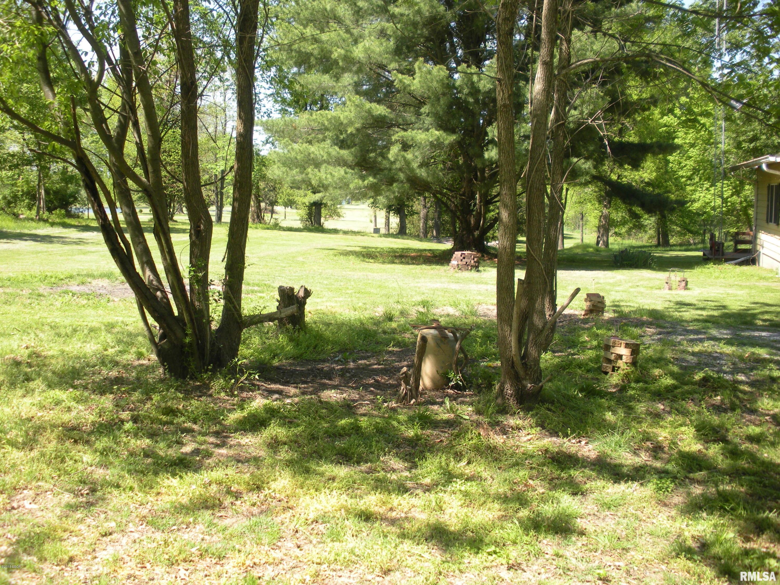 897 Thunderstorm Road Carbondale, IL 62901 - Photo 3 of 24