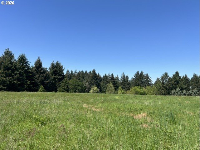 32784 Southwest Laurelview Road Hillsboro, OR 97123 - Photo 42 of 43