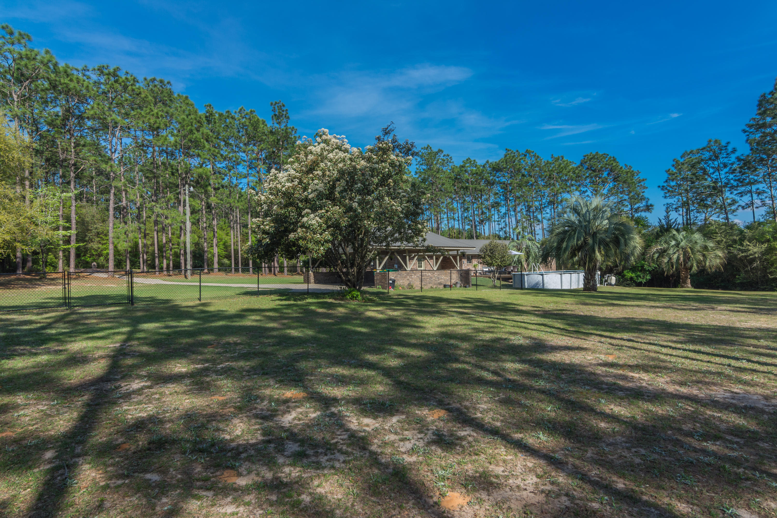 658 Ridge Lake Road Crestview, FL 32536 - Photo 41 of 47 a view of a trees in a field