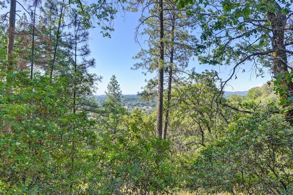 24316 Timber Ridge Drive Auburn, CA 95602 - Photo 10 of 11 Gallery Image 10
