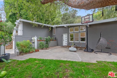 a view of a backyard with potted plants and a large tree