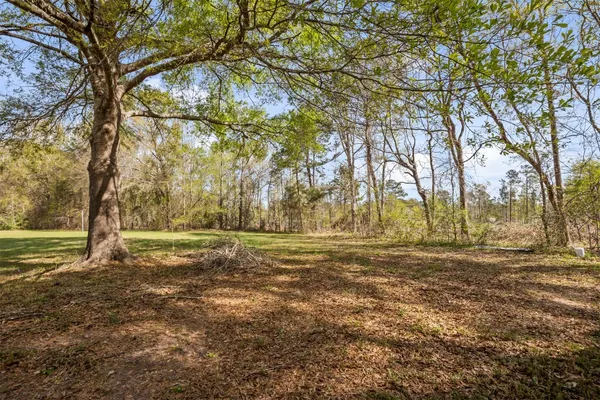 a view of a yard with a tree