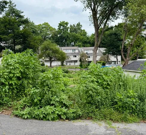 a backyard of a house with lots of green space