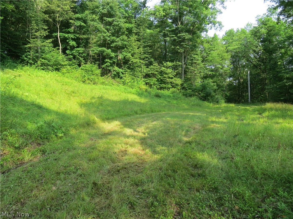 7186 Dial Road Southwest Carrollton, OH 44615 - Photo 17 of 34 Gallery Image 17