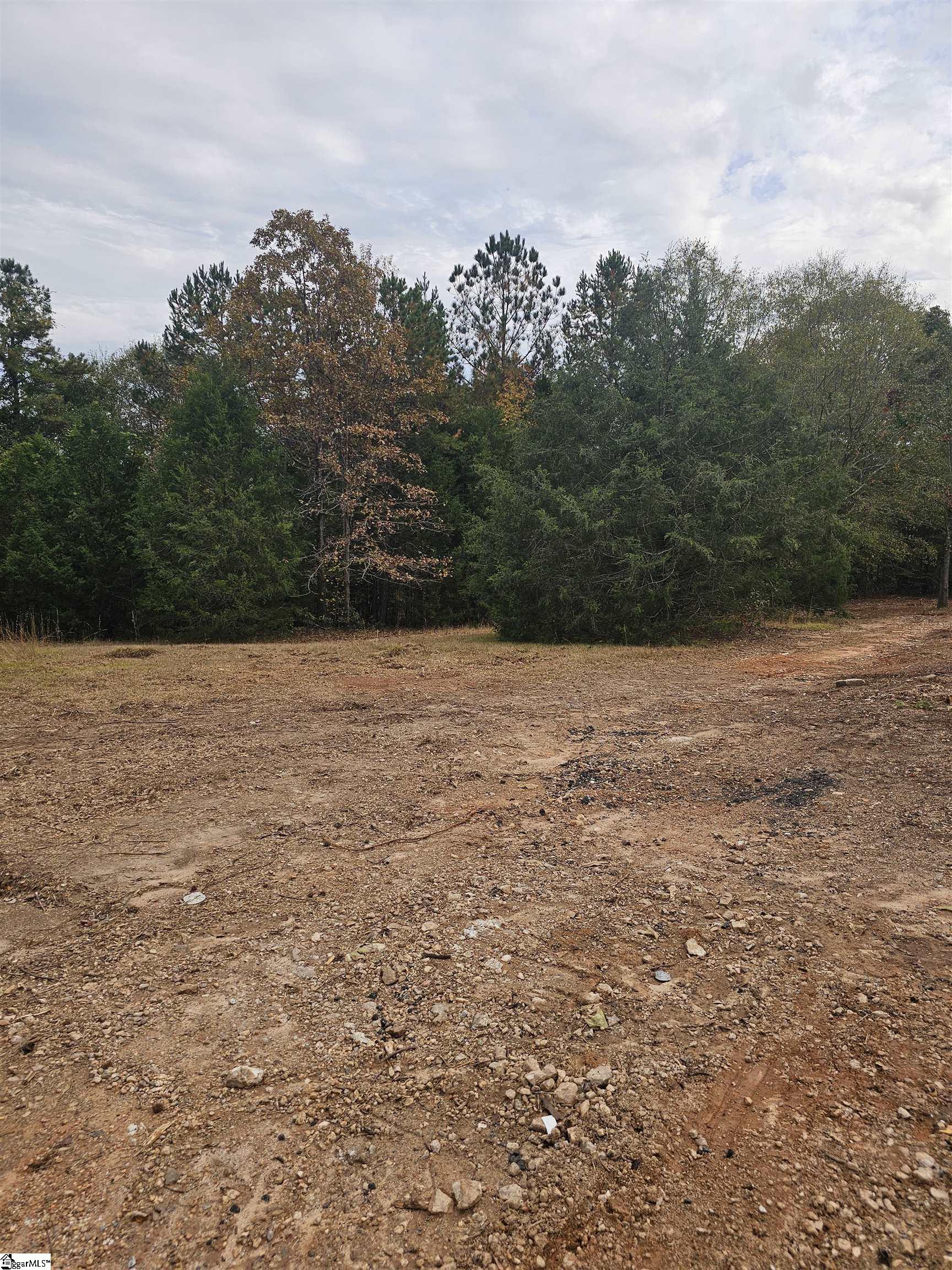 1036 Fleming St Extension Laurens, SC 29360 - Photo 5 of 9