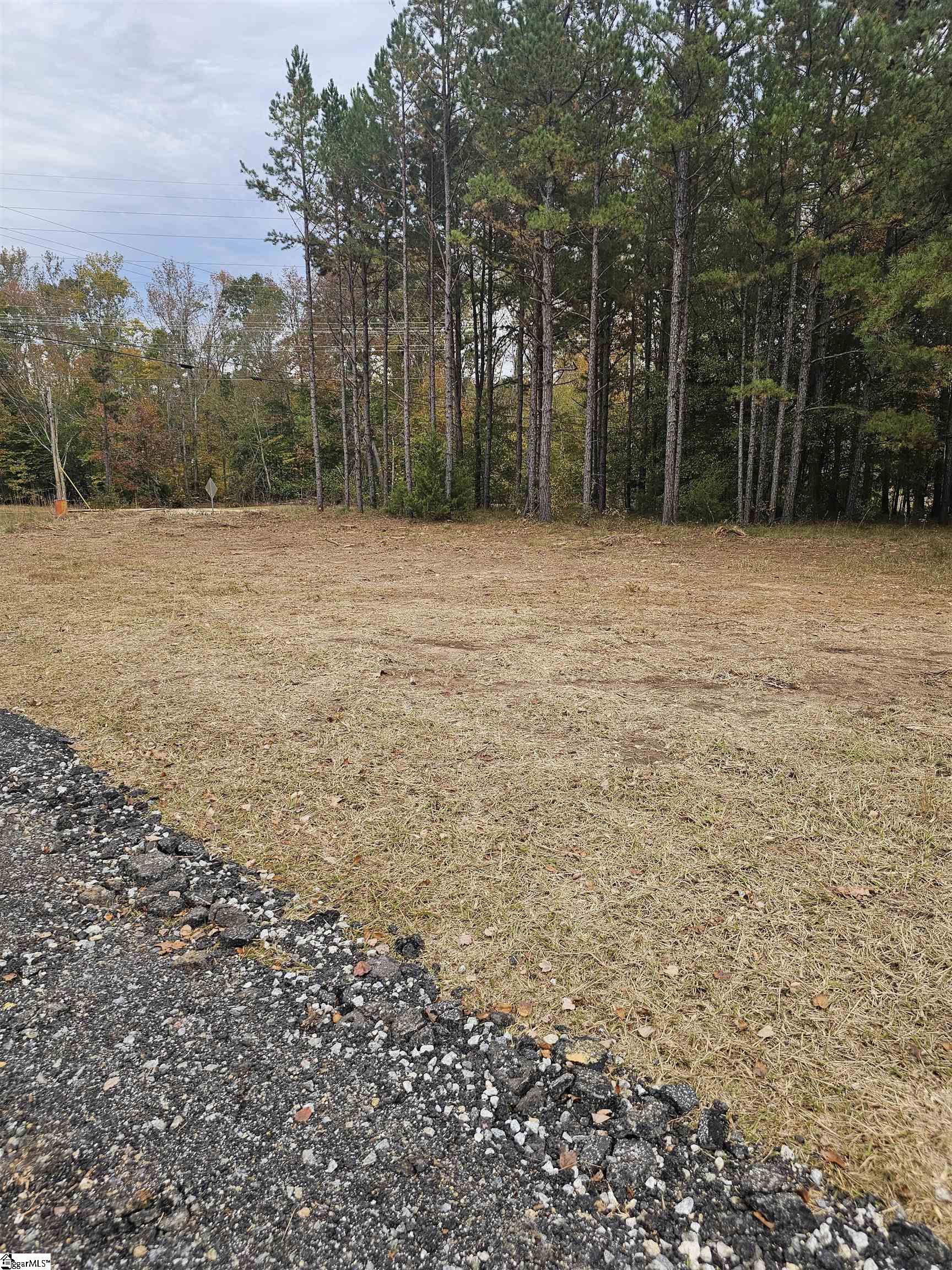 1036 Fleming St Extension Laurens, SC 29360 - Photo 6 of 9