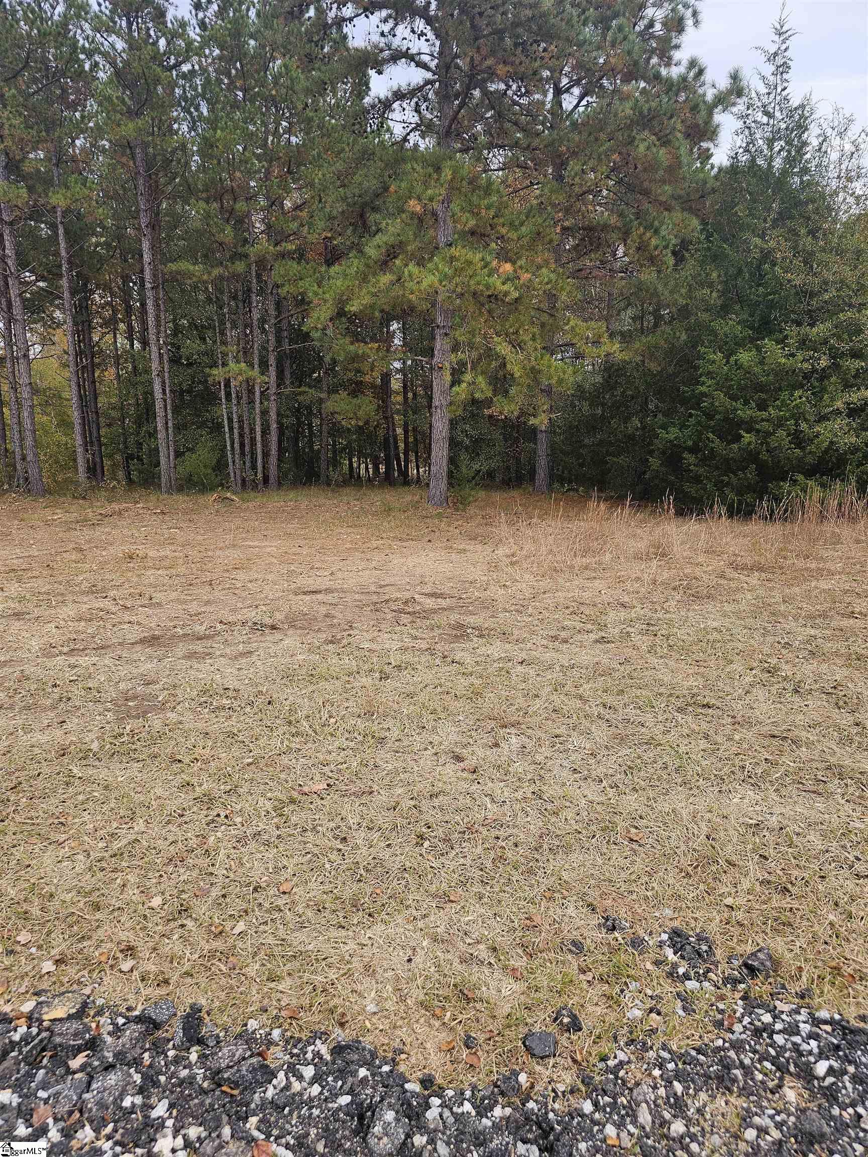 1036 Fleming St Extension Laurens, SC 29360 - Photo 7 of 9