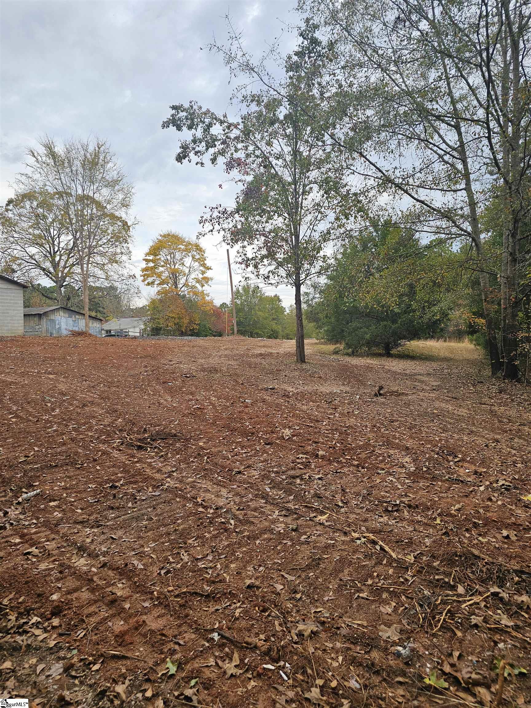 1036 Fleming St Extension Laurens, SC 29360 - Photo 8 of 9