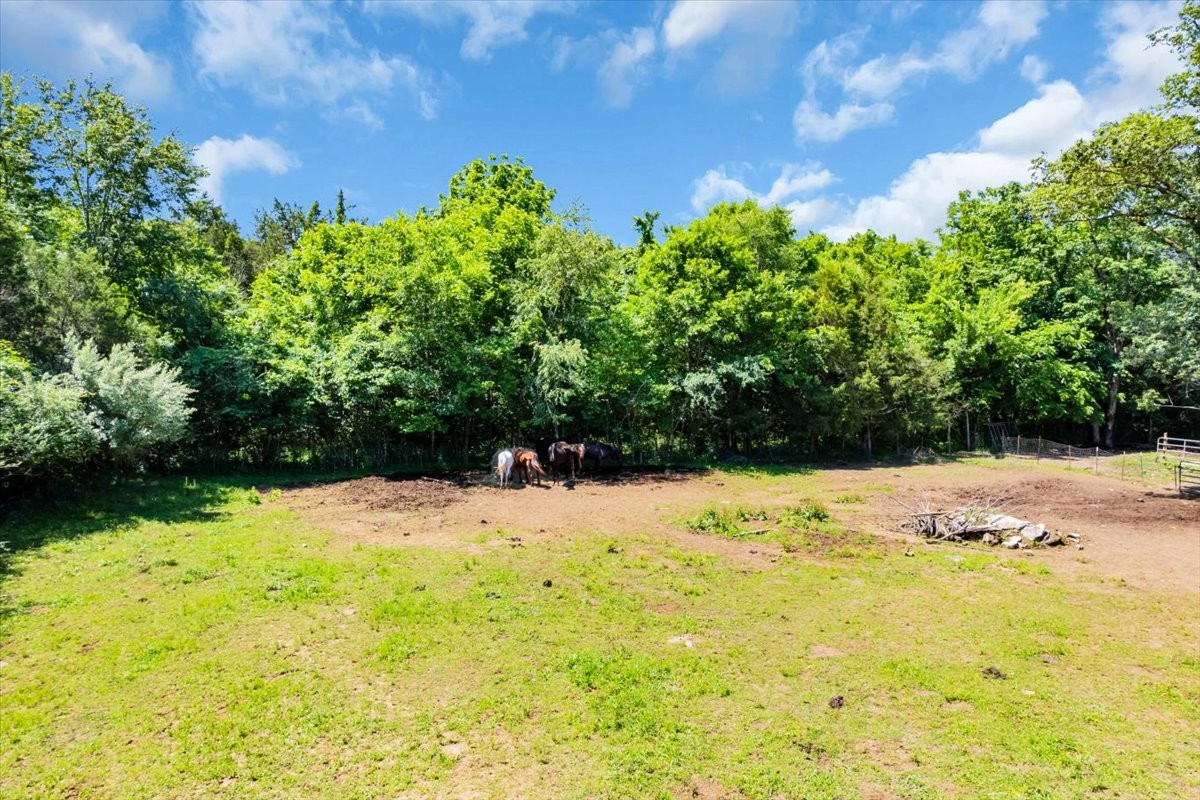 6263 Windrow Road Rockvale, TN 37153 - Photo 51 of 55
