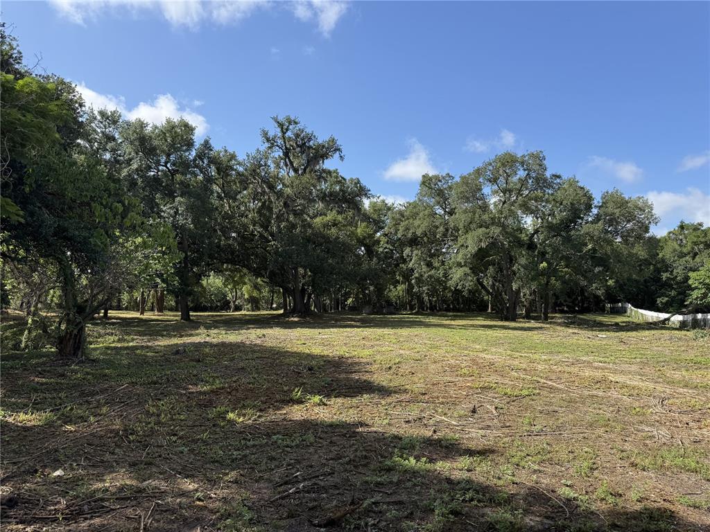 521 East Clay Avenue Brandon, FL 33510 - Photo 10 of 12 a view of a field with trees in the background