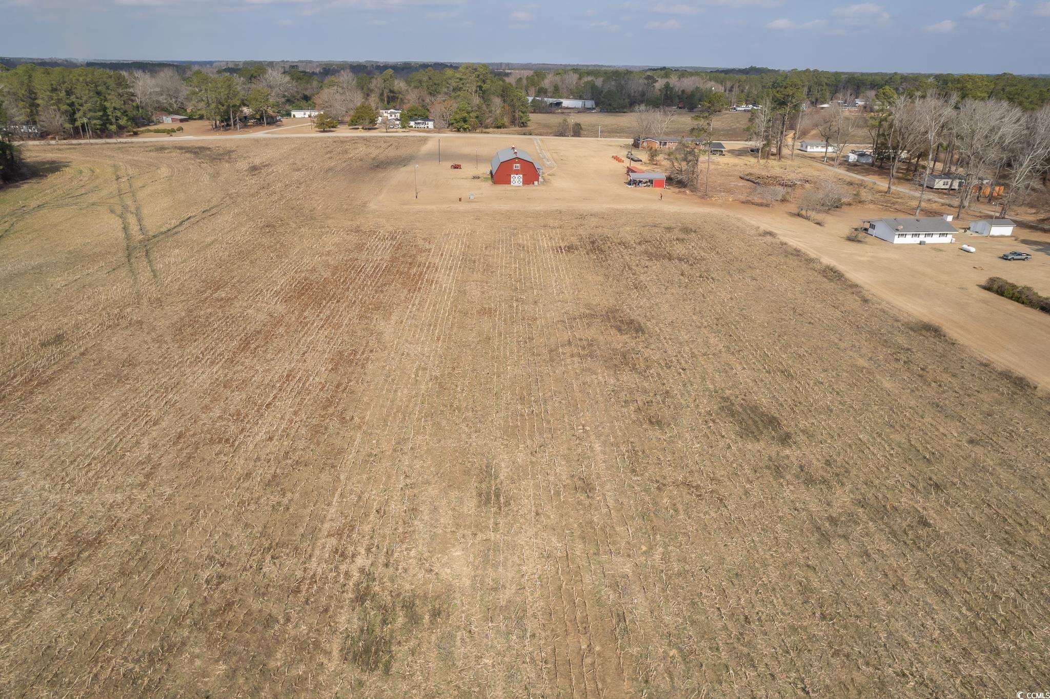 429 Oakland Road Hamer, SC 29547 - Photo 38 of 40