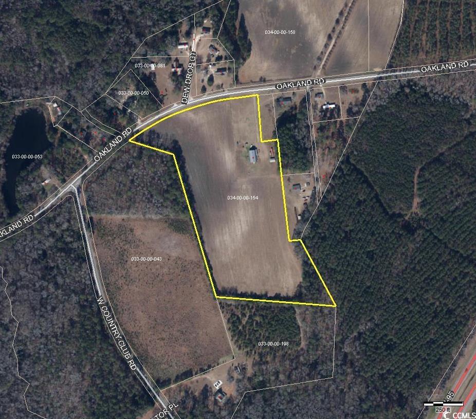 429 Oakland Road Hamer, SC 29547 - Photo 40 of 40