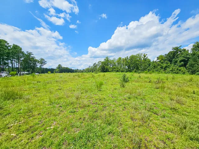 $550,000 | 0 Bells Highway, Walterboro, SC 29488