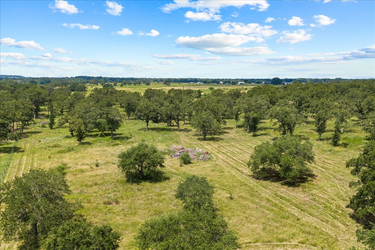 6900 Waldeck Cemetery Road Round Top, TX 78954 - Photo 12 of 24