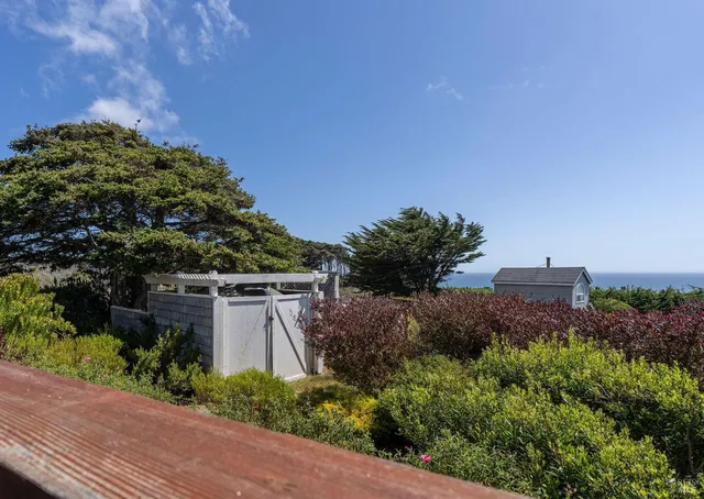 a view of a plants with a house in background