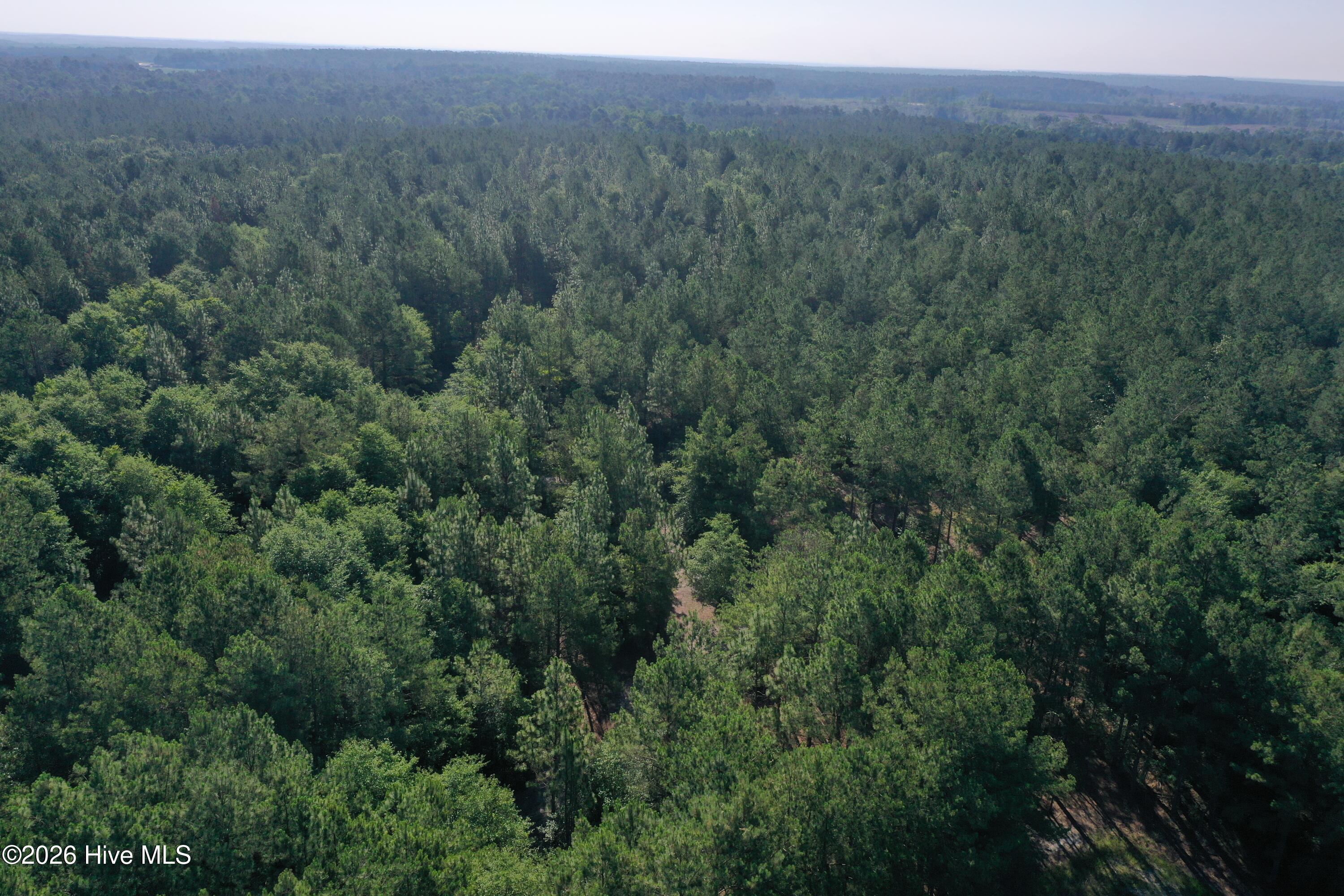 Tbd Jones Spring Church Road Ellerbe, NC 28338 - Photo 23 of 29