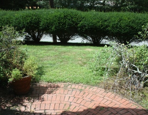 8 Ridge Road, Unit 1 Lincoln, MA 01773 - Photo 14 of 14 a view of a yard with potted plants and large trees