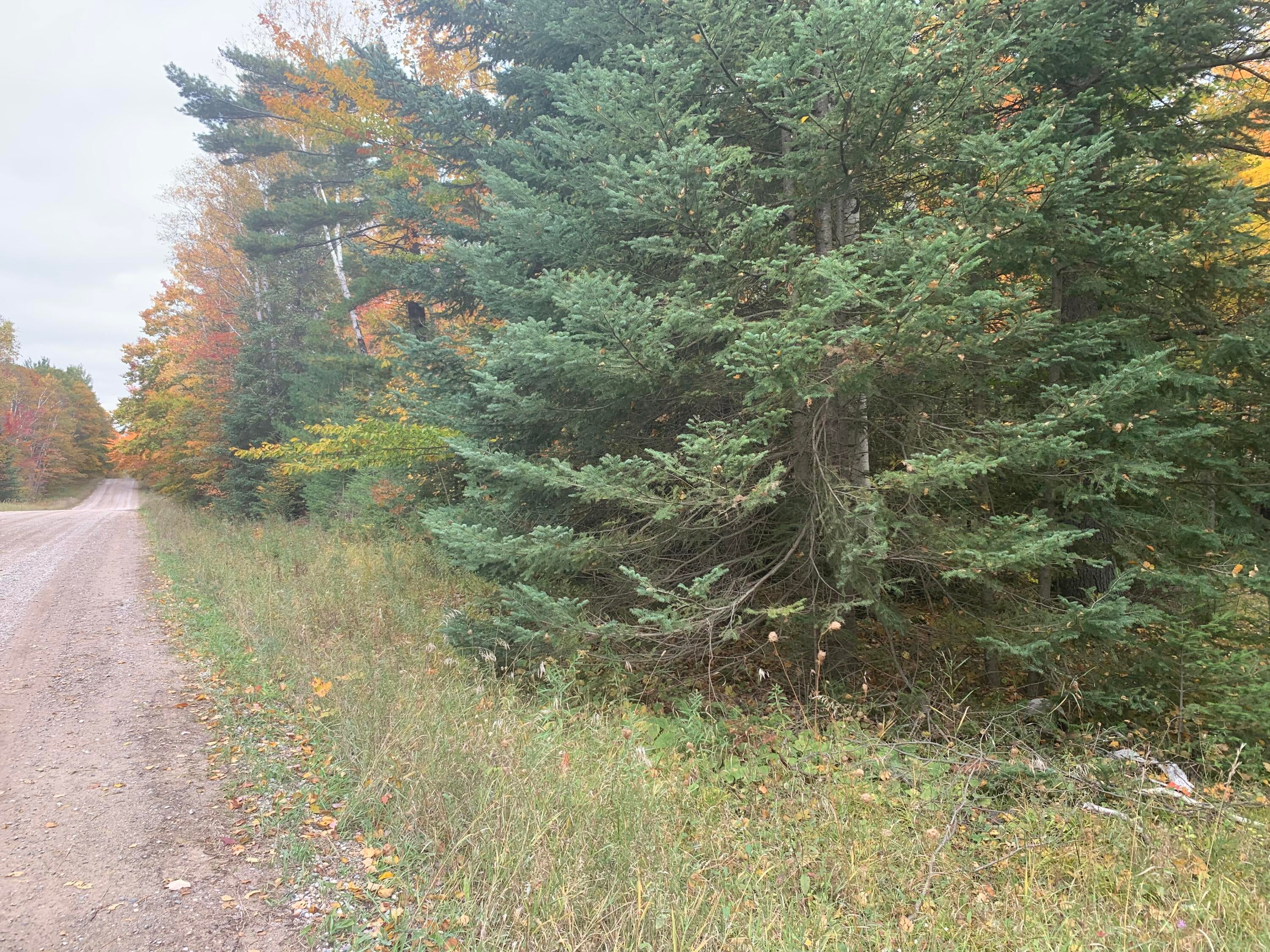 Mishler Road Mio, MI 48647 - Photo 3 of 3 Gallery Image 3