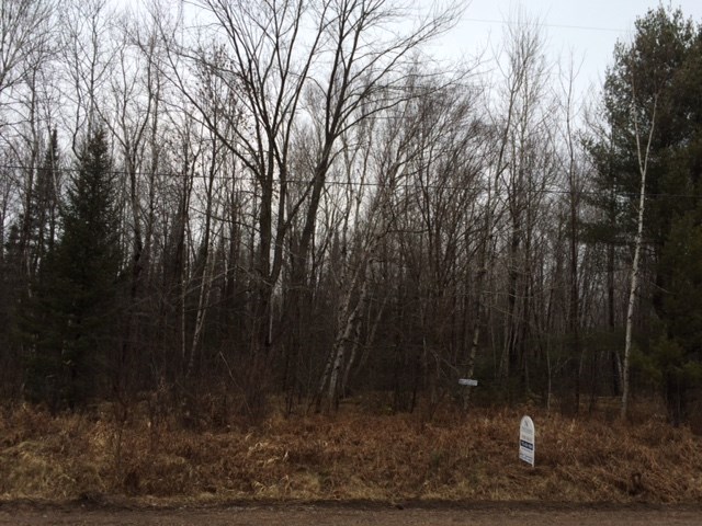 0 State Highway Aniwa, WI 54408 - Photo 1 of 1