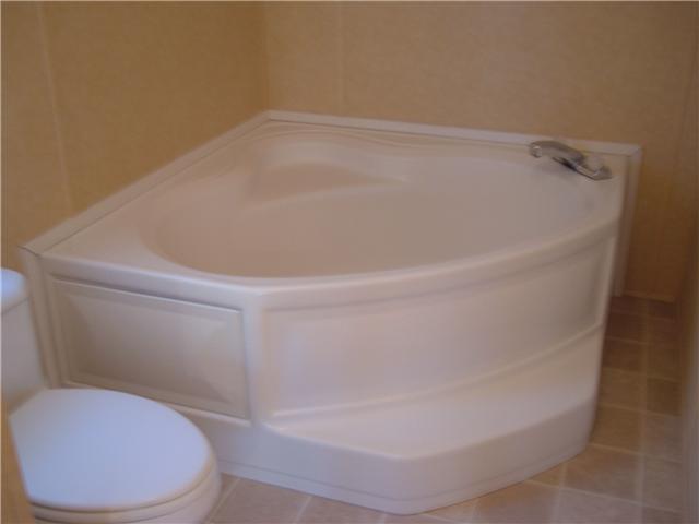 119 Fire Tower Road Dickson, TN 37055 - Photo 13 of 14 Garden tub & seperate shower in master bath.