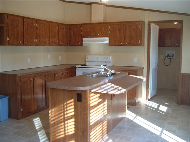 119 Fire Tower Road Dickson, TN 37055 - Photo 7 of 14 Lots of cabinet space, built in dishwasher & stove.