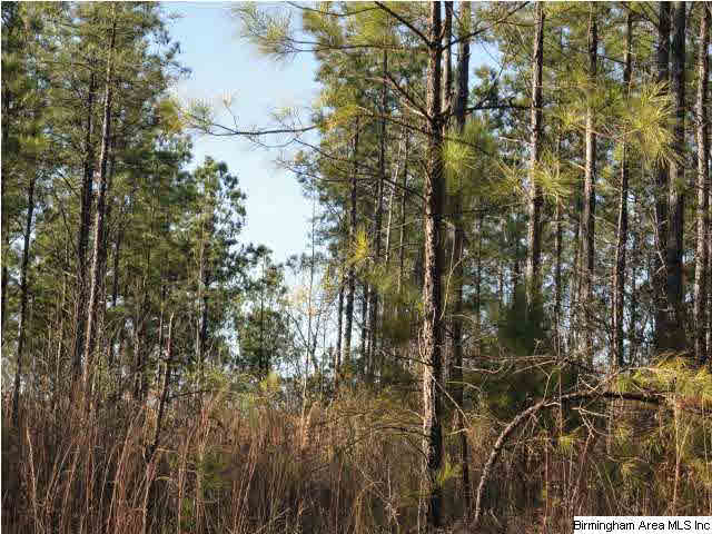 814 County Road, Unit 40 Wedowee, AL 36278 - Photo 8 of 9