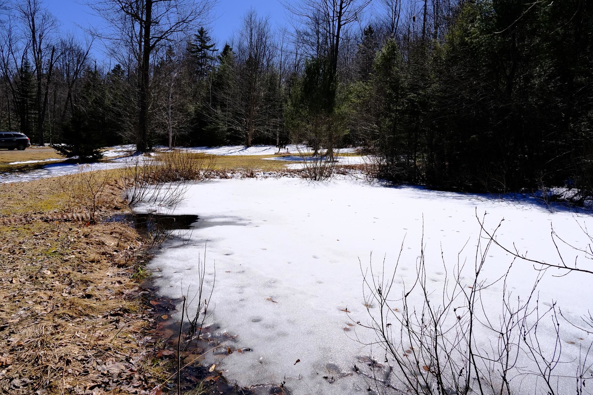 1601 Weston-Andover Road Andover, VT 05143 - Photo 19 of 27