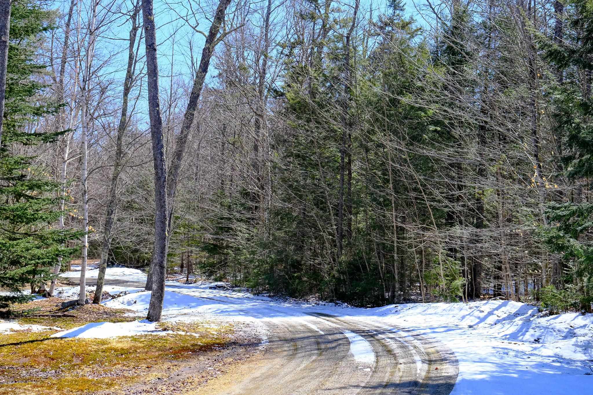 1601 Weston-Andover Road Andover, VT 05143 - Photo 20 of 27