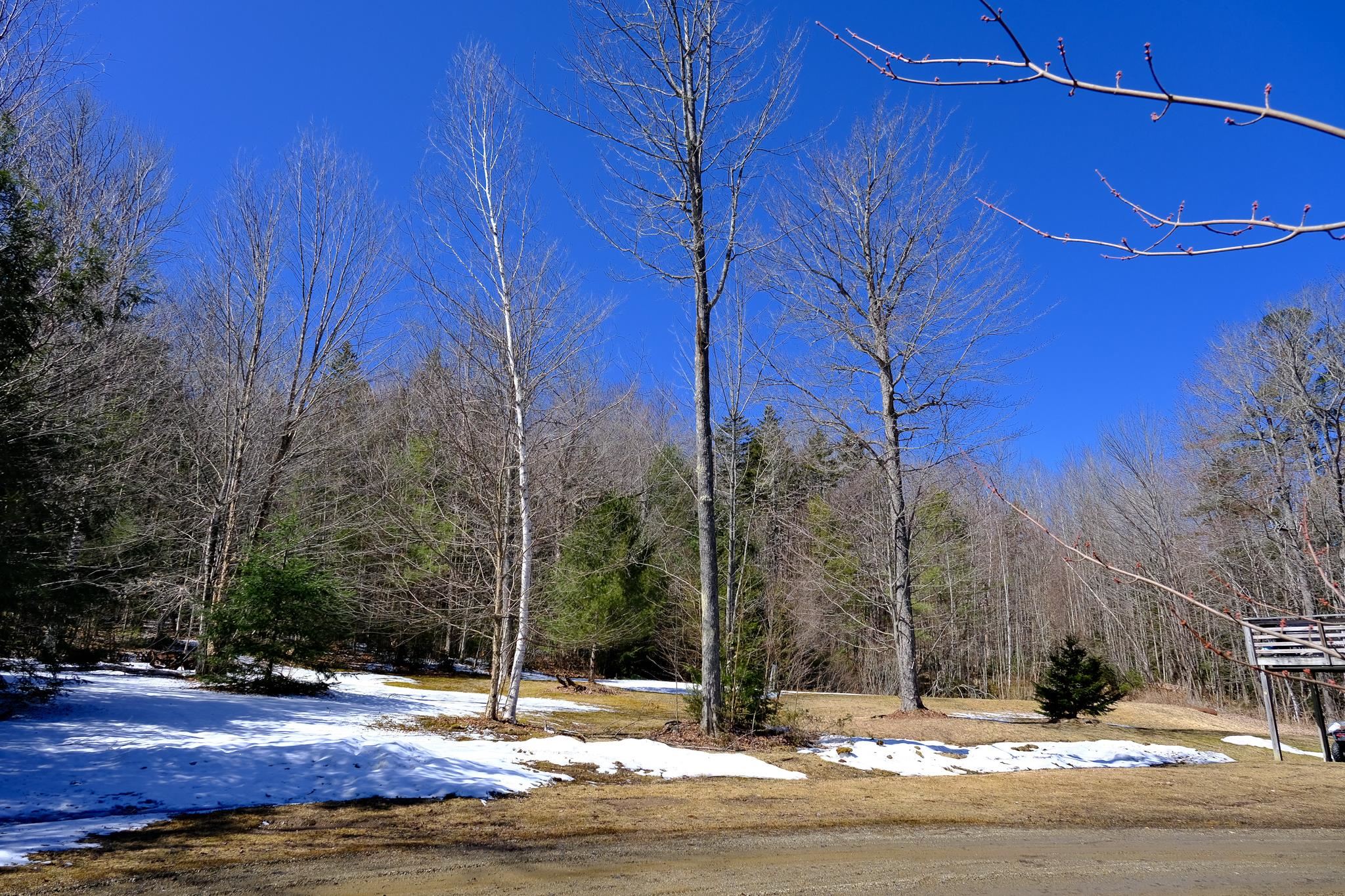 1601 Weston-Andover Road Andover, VT 05143 - Photo 22 of 27