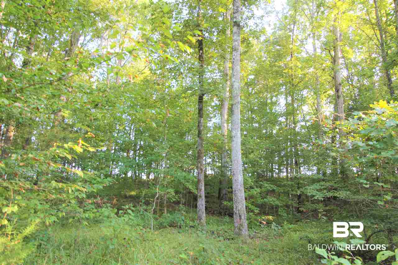 794 Dry Lake Road Luverne, AL 36049 - Photo 23 of 48 Hardwoods