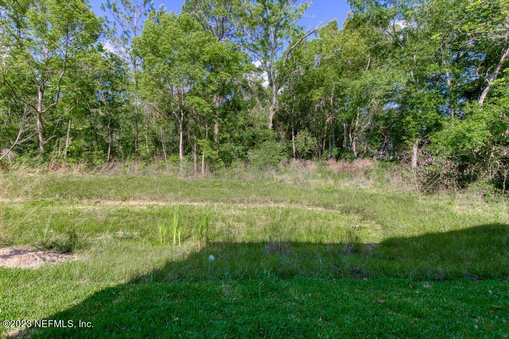 1338 Ellis Road South Jacksonville, FL 32205 - Photo 35 of 38 a view of a yard with a tree