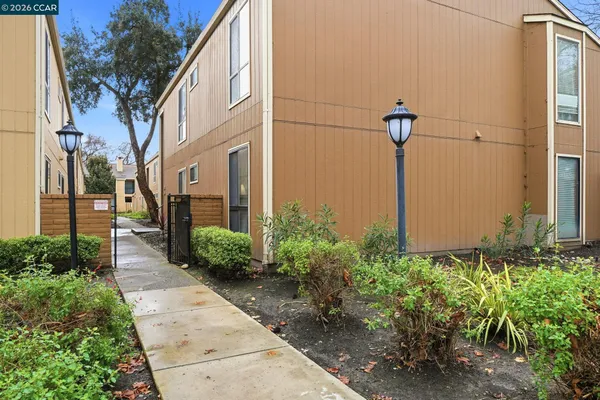 a view of a pathway with a garden