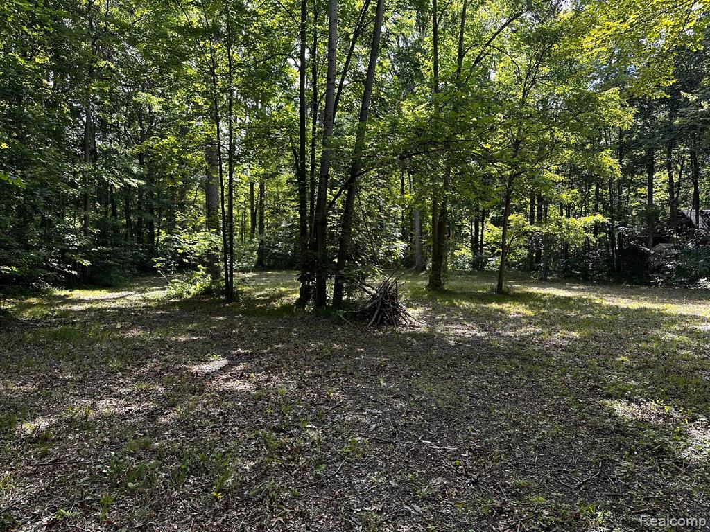 00000 Haggerty Road Belleville, MI 48111 - Photo 5 of 7