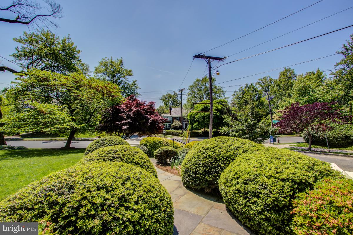 6101 Broad Branch Road Northwest Washington, DC 20015 - Photo 4 of 40 View from front door.